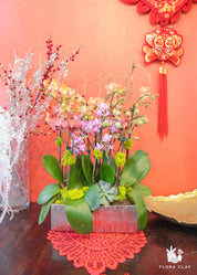 An orchid arrangement featuring a variety of orchids in shades of pink and red, with green leaves, displayed in a rectangular container, with a red decorative backdrop and a traditional Chinese hanging decoration in the background.