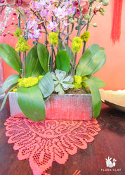 Happy Year Orchid Arrangement in a Silver Pot