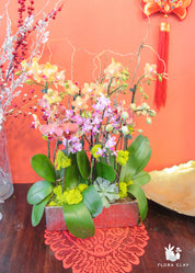 Happy Year Orchid Arrangement in a Silver Pot
