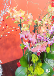 Happy Year Orchid Arrangement in a Silver Pot