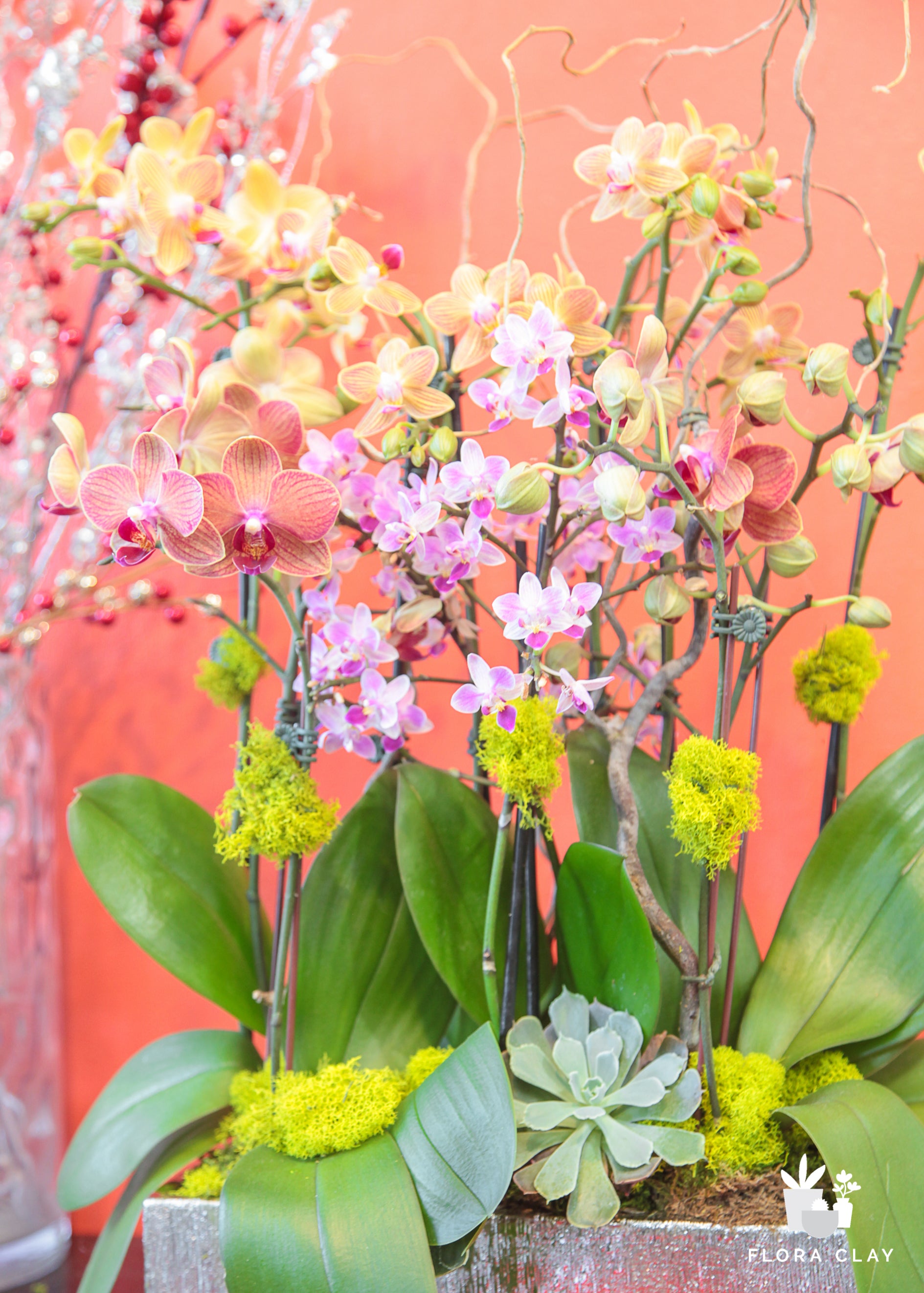 Happy Year Orchid Arrangement in a Silver Pot