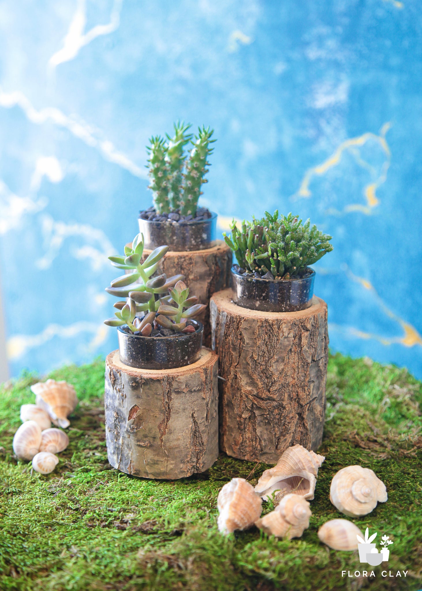 tree branch succulent planter Stumpies
