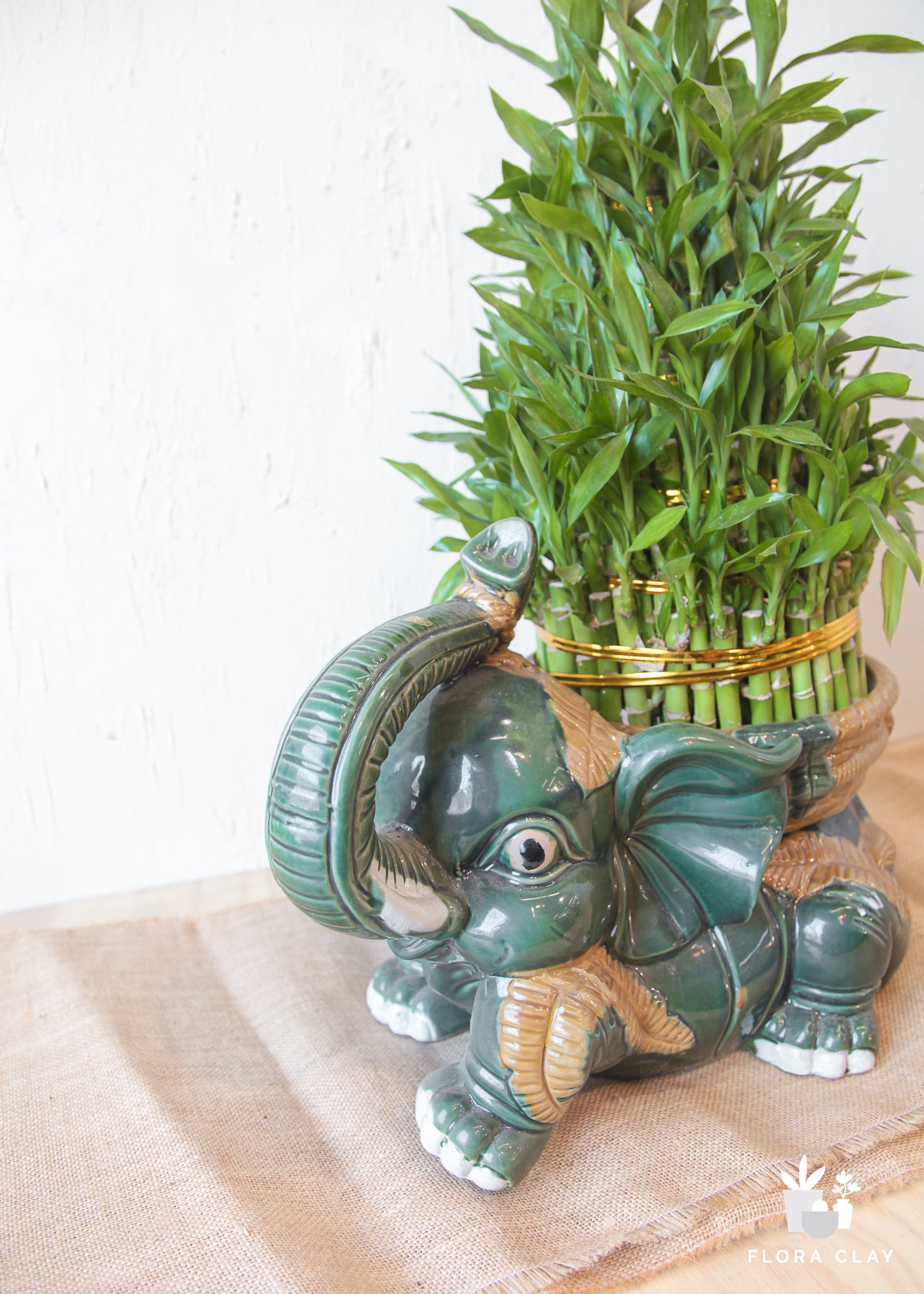 lucky bamboo elephant planter Lucky Elephant