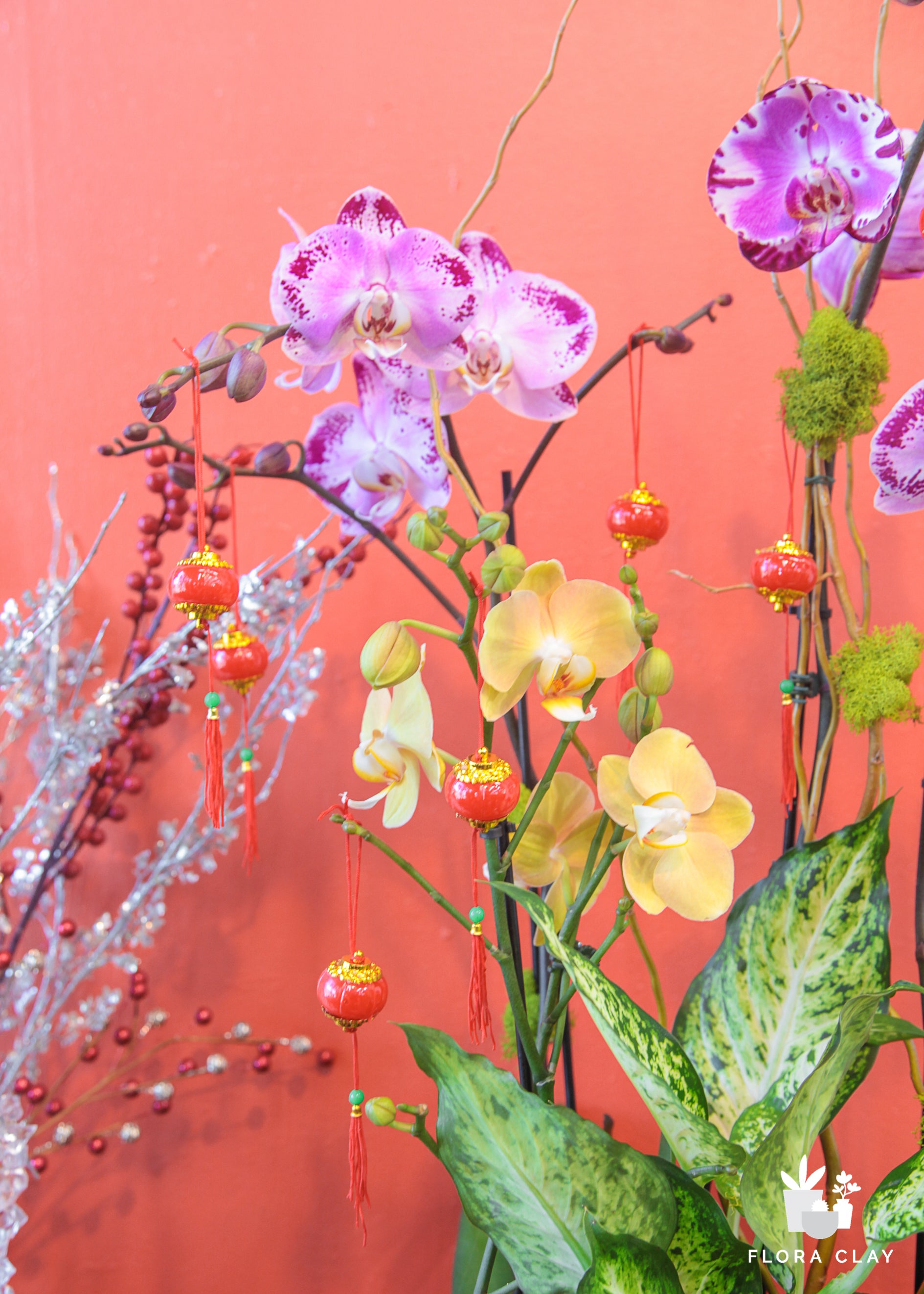 Red Lantern Orchid Arrangement in a Brown Pot