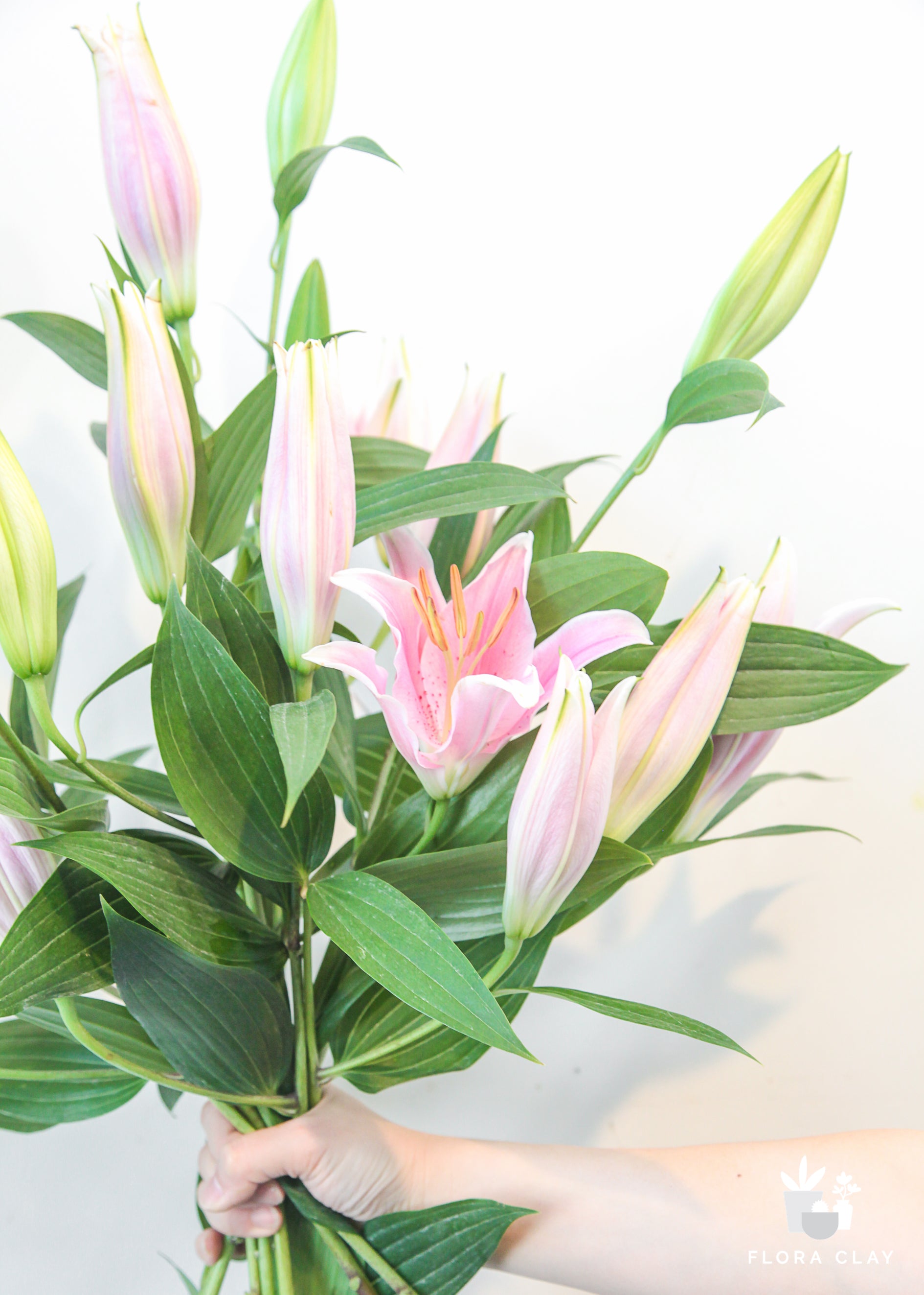 clay lily flower Oriental Lily