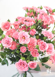 Pink Spray Roses