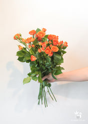 Orange Spray Roses