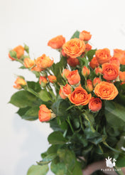 Orange Spray Roses