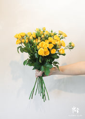 Yellow Spray Roses