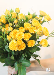 Yellow Spray Roses