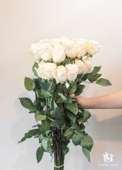 White Roses