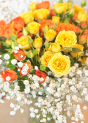 Yellow Spray Roses