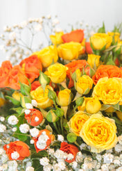 Orange Spray Roses