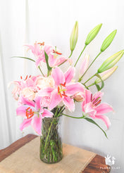 Oriental Lily