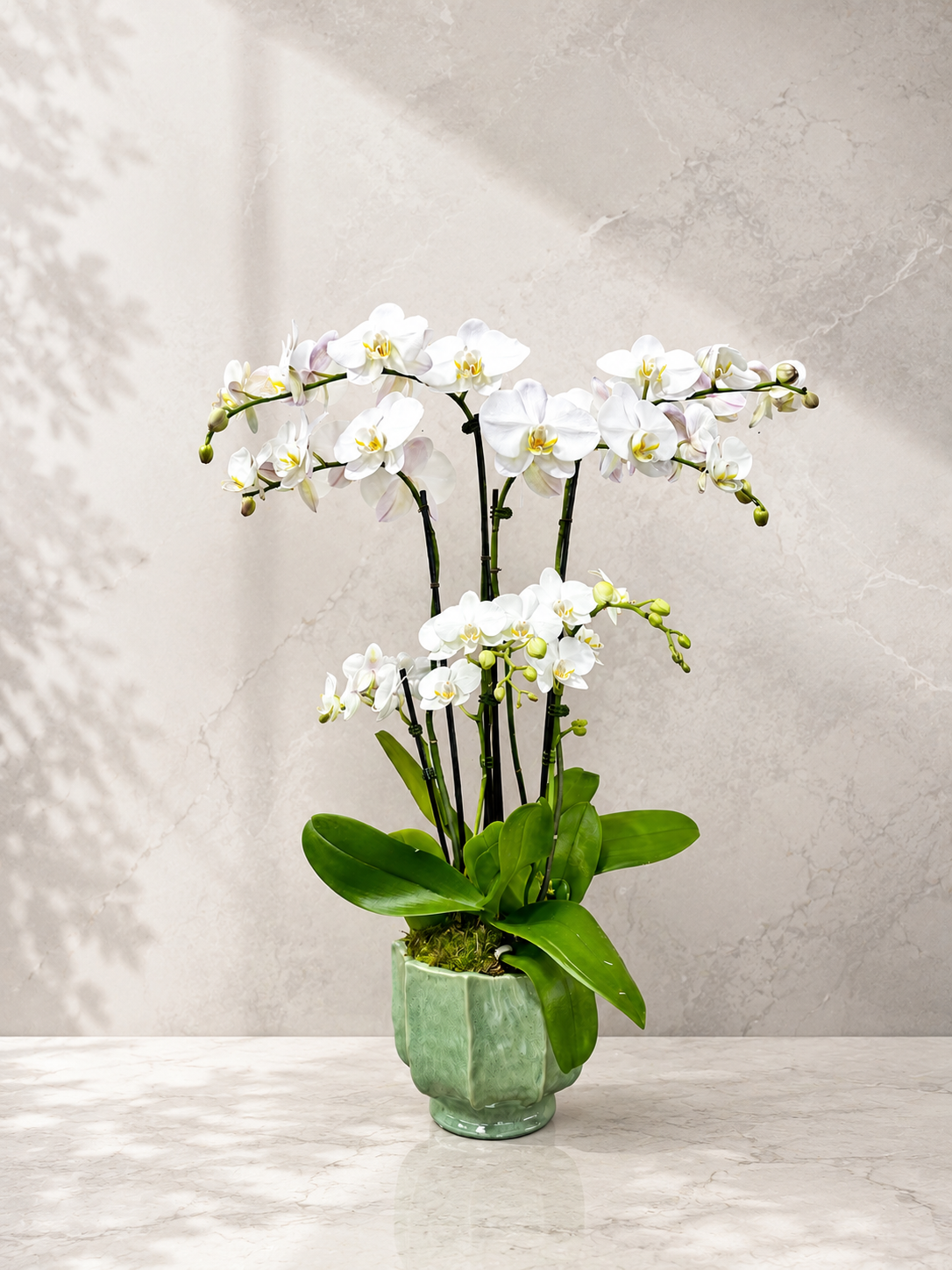 A potted artificial white orchid arrangement with green leaves and stems, displayed in a faceted light green ceramic pot on a light marble surface against a textured beige wall with soft leaf shadows.