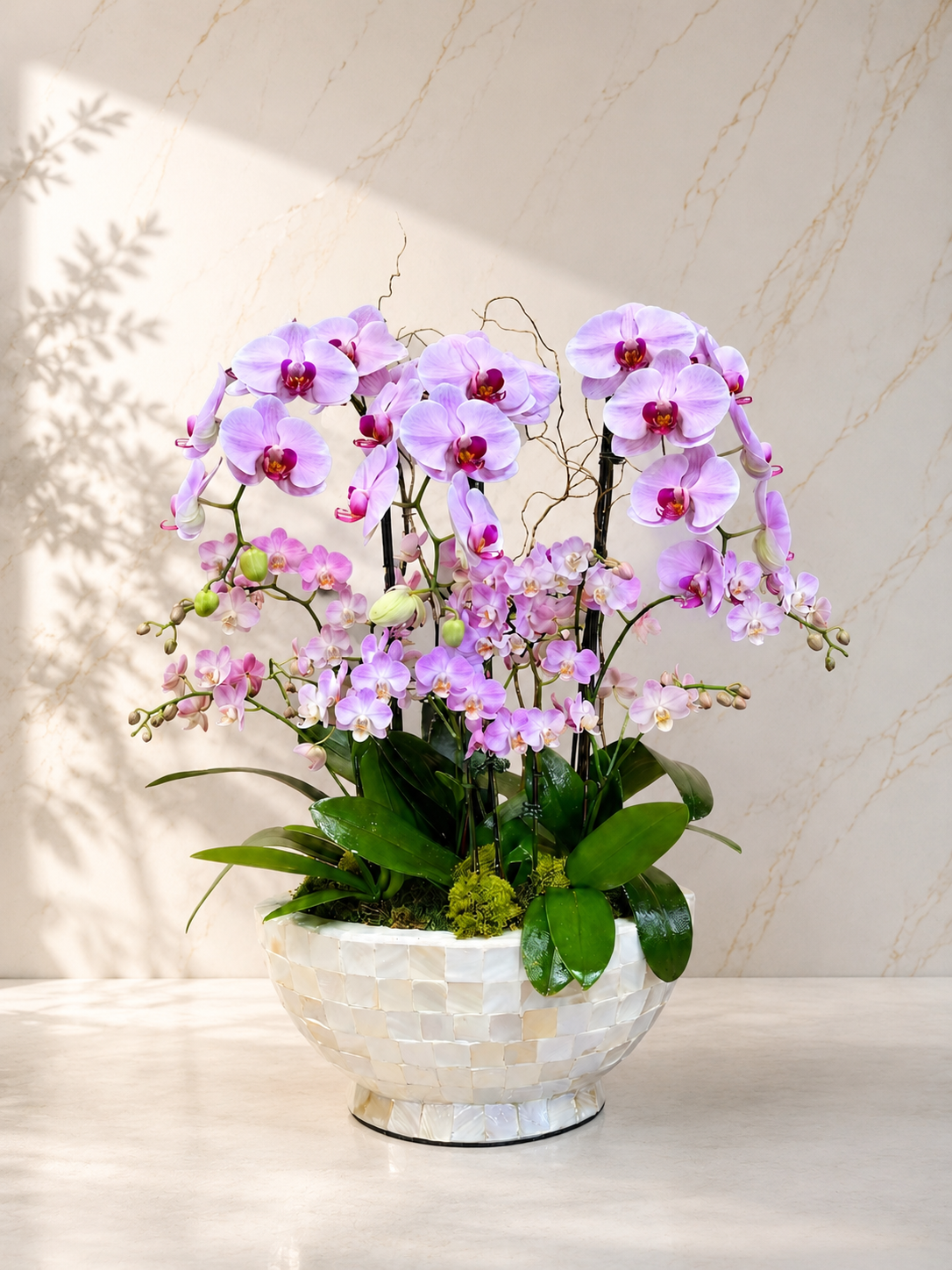 Pink orchids in a decorative pot on a light background Lavender Blush Luxury Orchid Arrangement