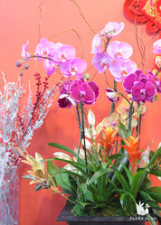 purple pink orchid arrangement in a wooden pot