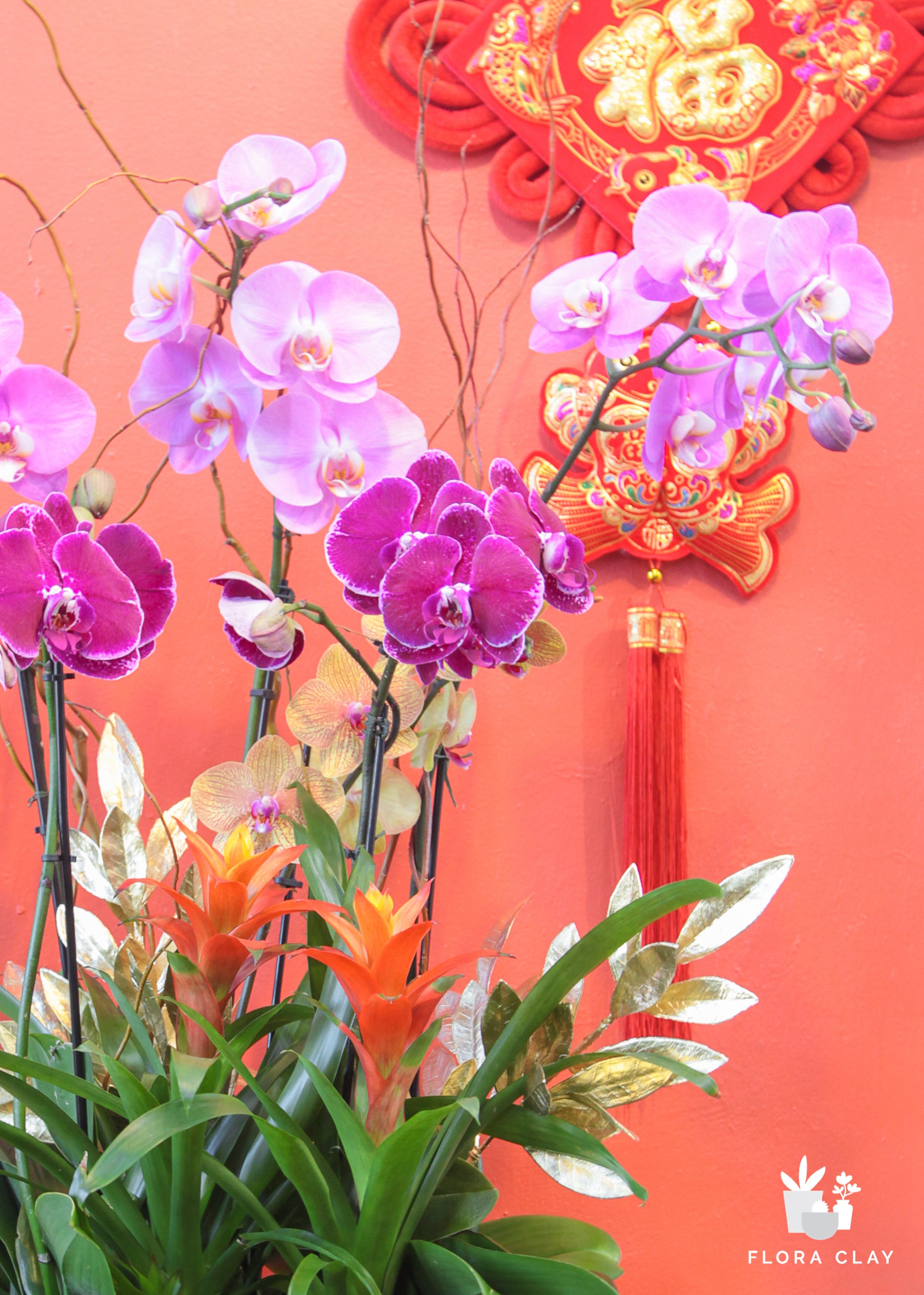 Longevity Orchid Arrangement in a Wooden Pot
