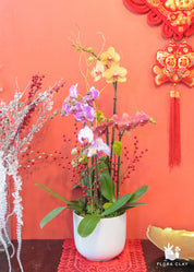 An orchid arrangement with pink and purple flowers, green leaves, and decorative elements in a white vase, against a red background with a Chinese New Year decoration in the background.