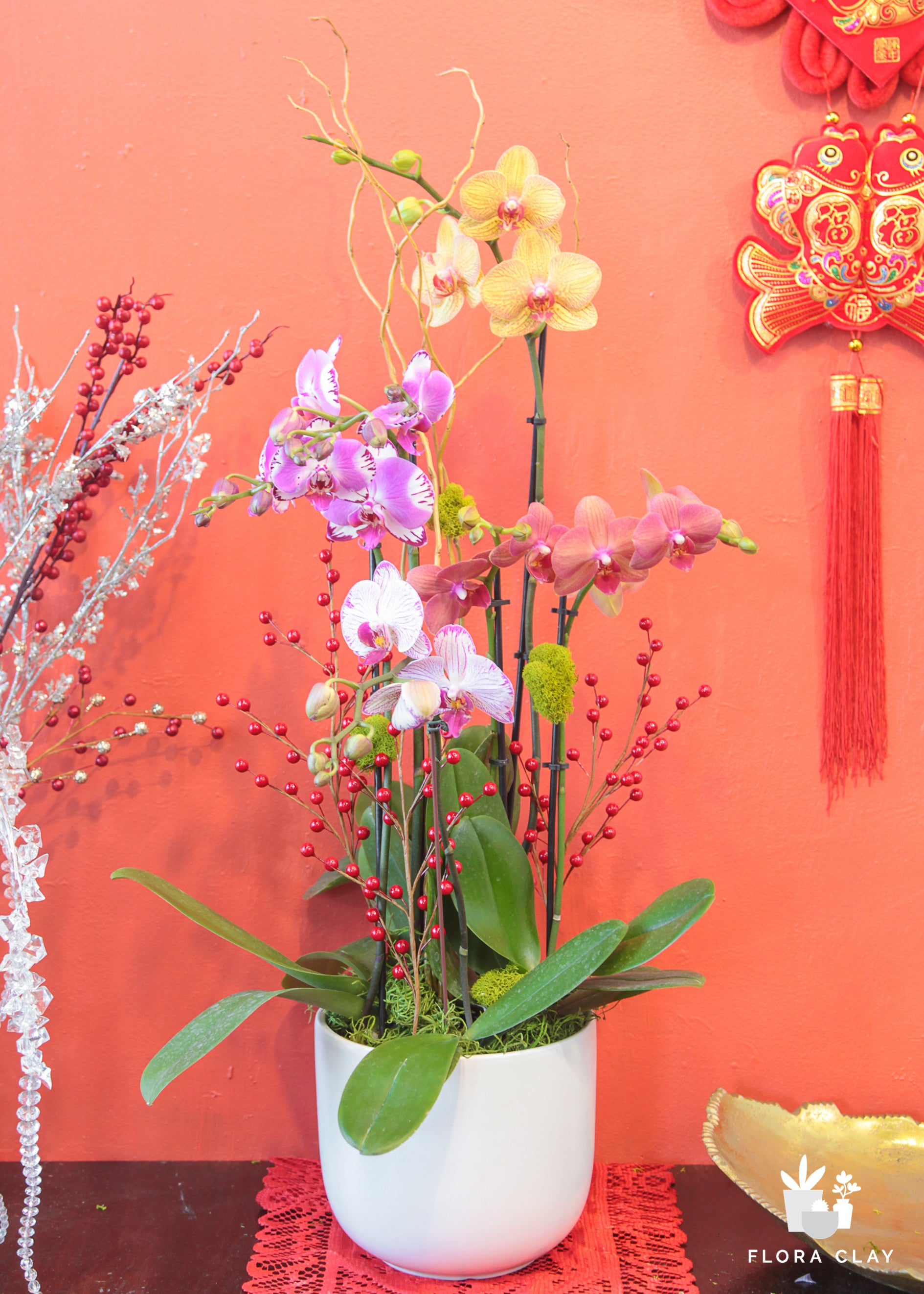 Lucky fruits Orchid Arrangement in a White Pot