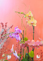 Lucky fruits Orchid Arrangement in a White Pot