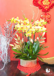 A floral arrangement featuring yellow and pink orchids with green leaves, displayed in a red vase, against a red background with a Chinese New Year decoration in the background.