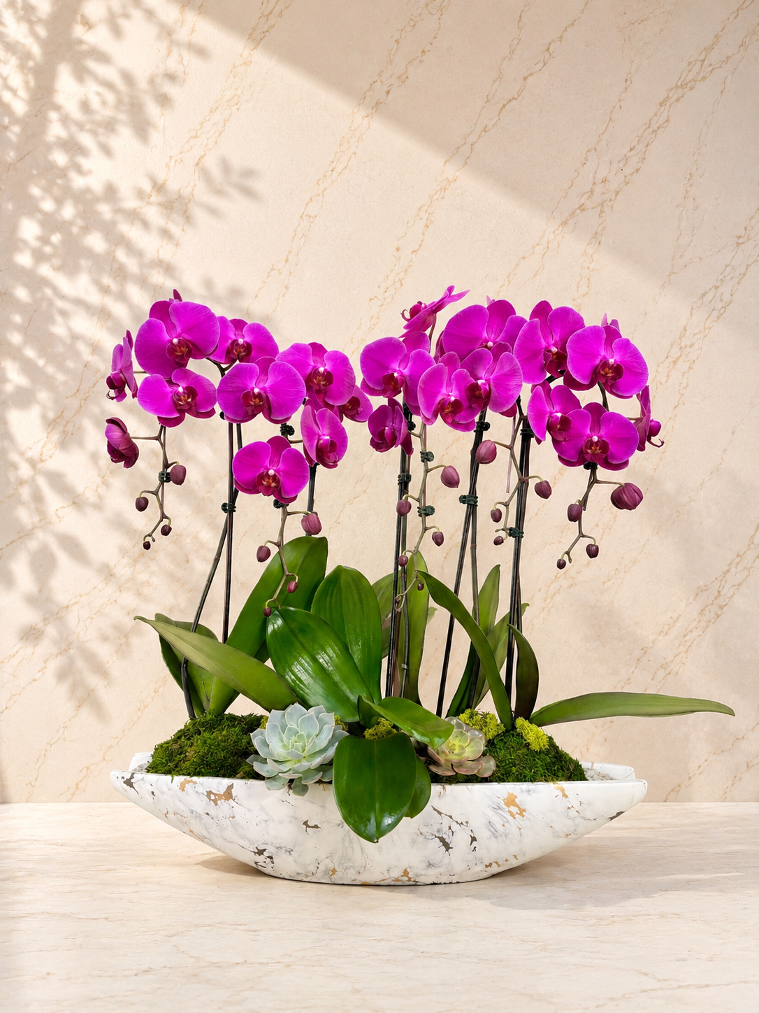 Make a bold statement with the Magenta Orchid Luxe. Vibrant magenta Phalaenopsis orchids and pale green succulents styled in a luxury gold-touched boat planter.
