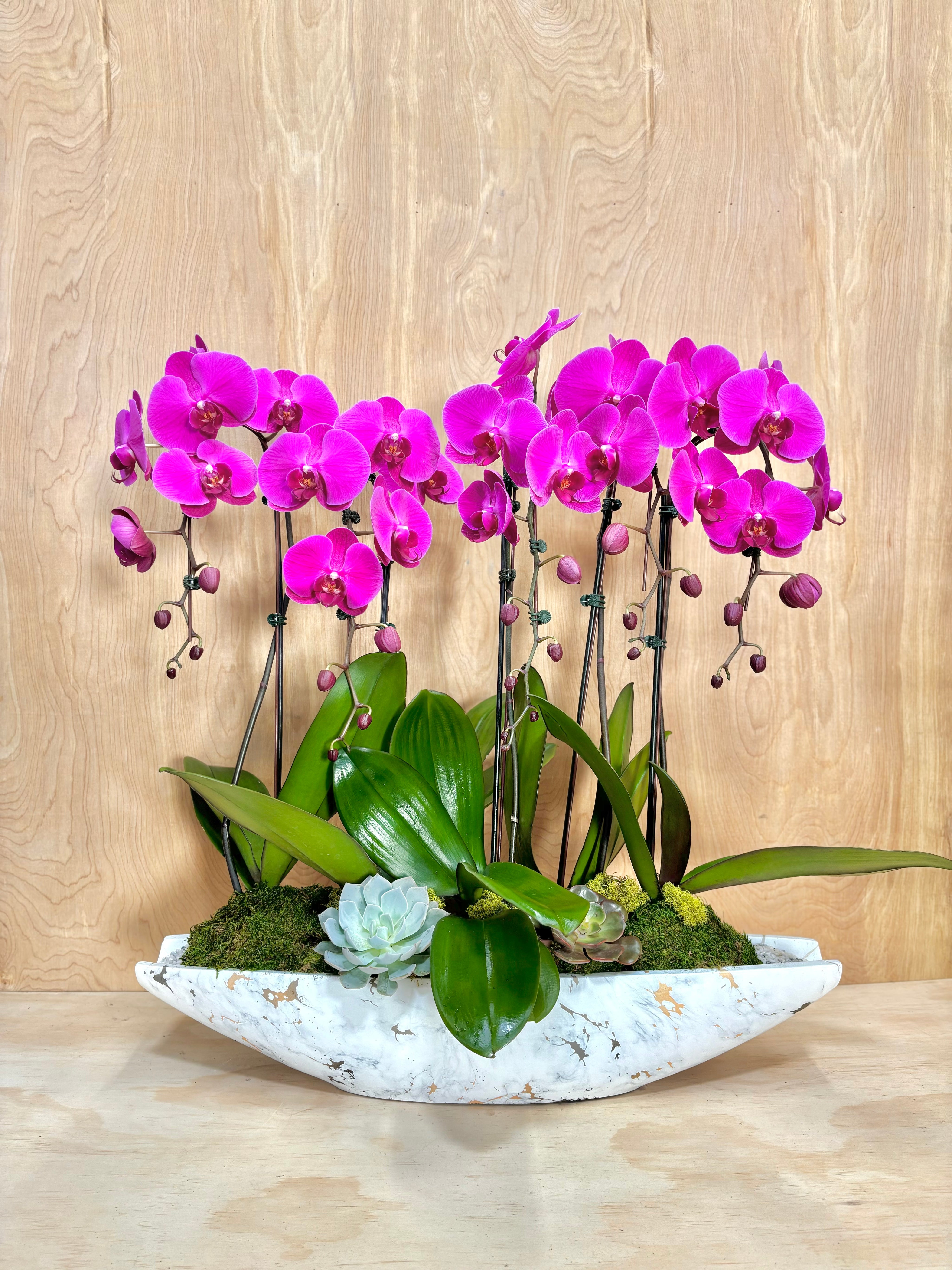 Pink orchids in a decorative bowl on a wooden surface
