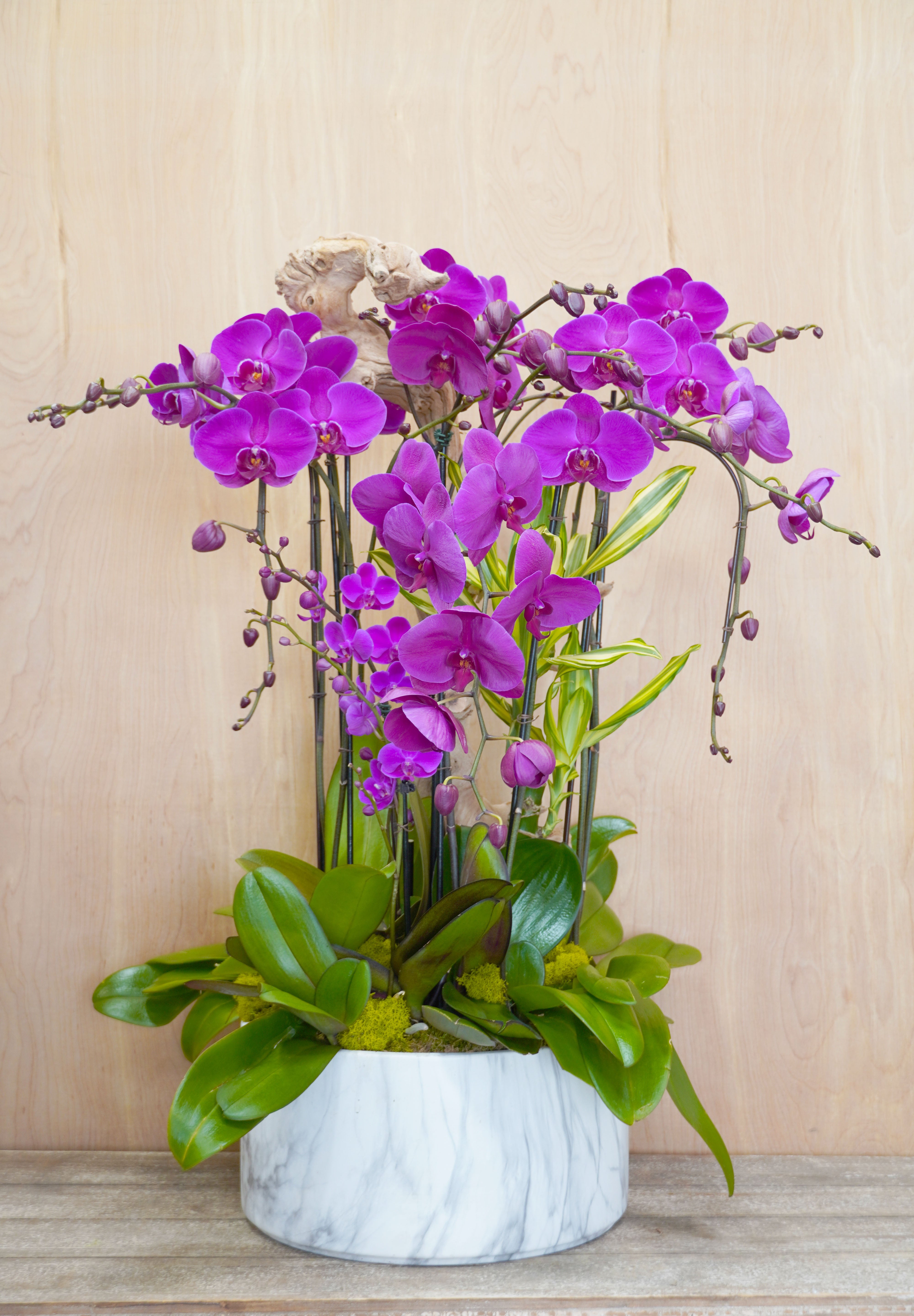 Purple orchids in a white vase on a wooden surface with a light wood panel background