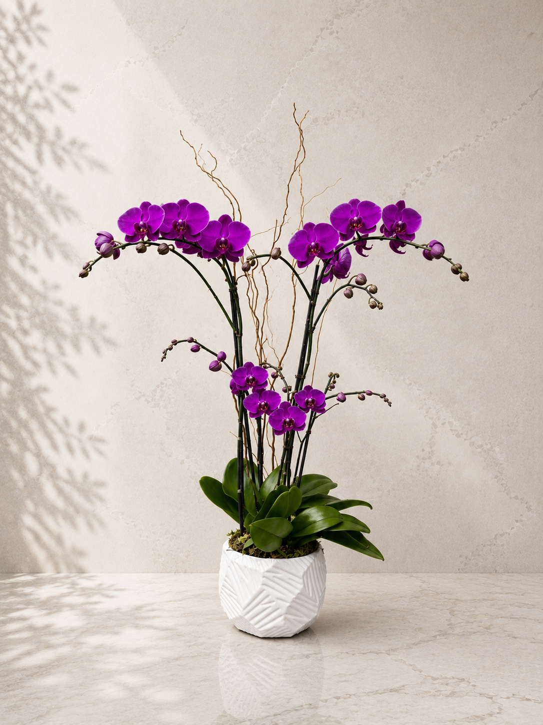 Introduce a clean, modern touch with the Modern Textured Purple Orchid. Elegant purple Phalaenopsis orchids styled beautifully in a textured white ceramic planter.