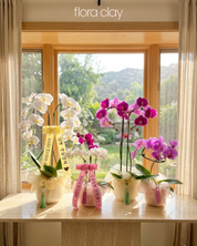 White Cascading & Mini Orchid Arrangement