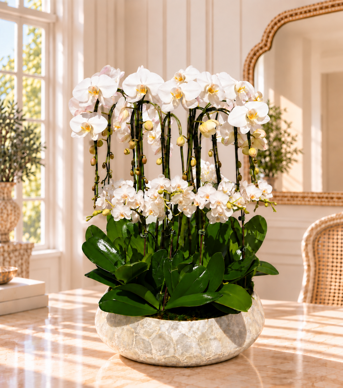 Pearl Cascade White Orchid Garden (All-around) grand