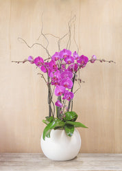 A vase with a white body and a pink orchid arrangement, placed against a wooden background.