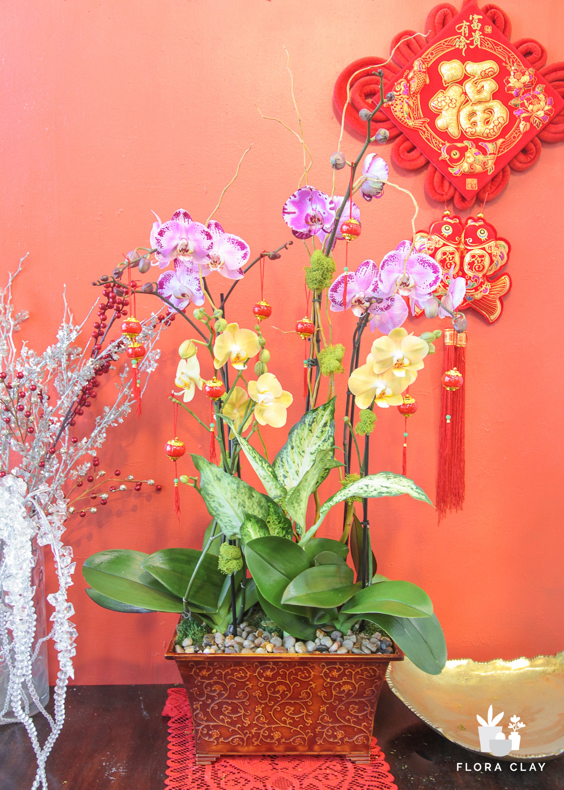 Red Lantern Orchid Arrangement in a Brown Pot