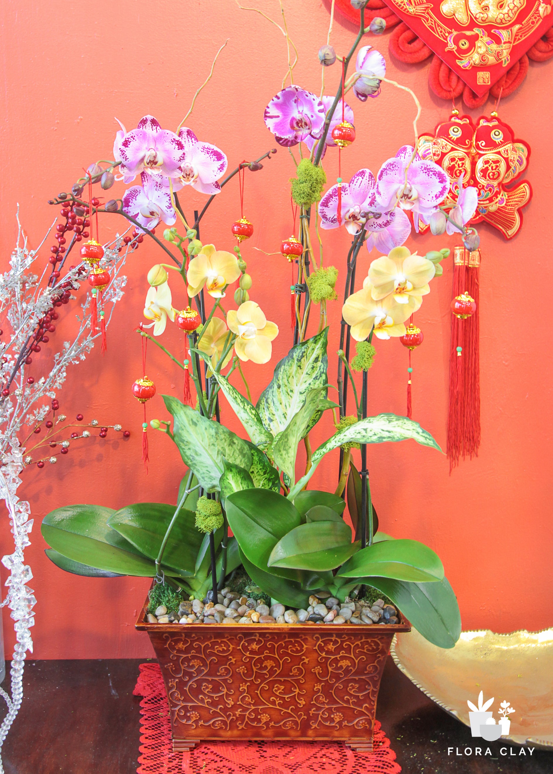 Red Lantern Orchid Arrangement in a Brown Pot