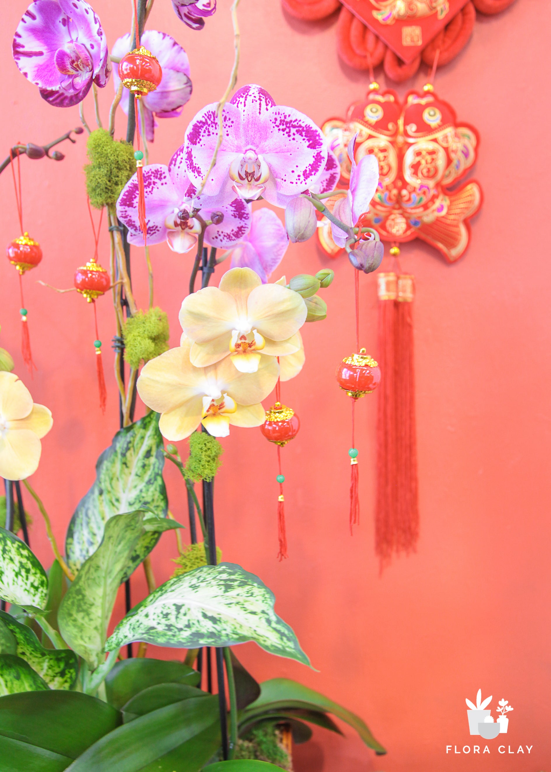 Red Lantern Orchid Arrangement in a Brown Pot