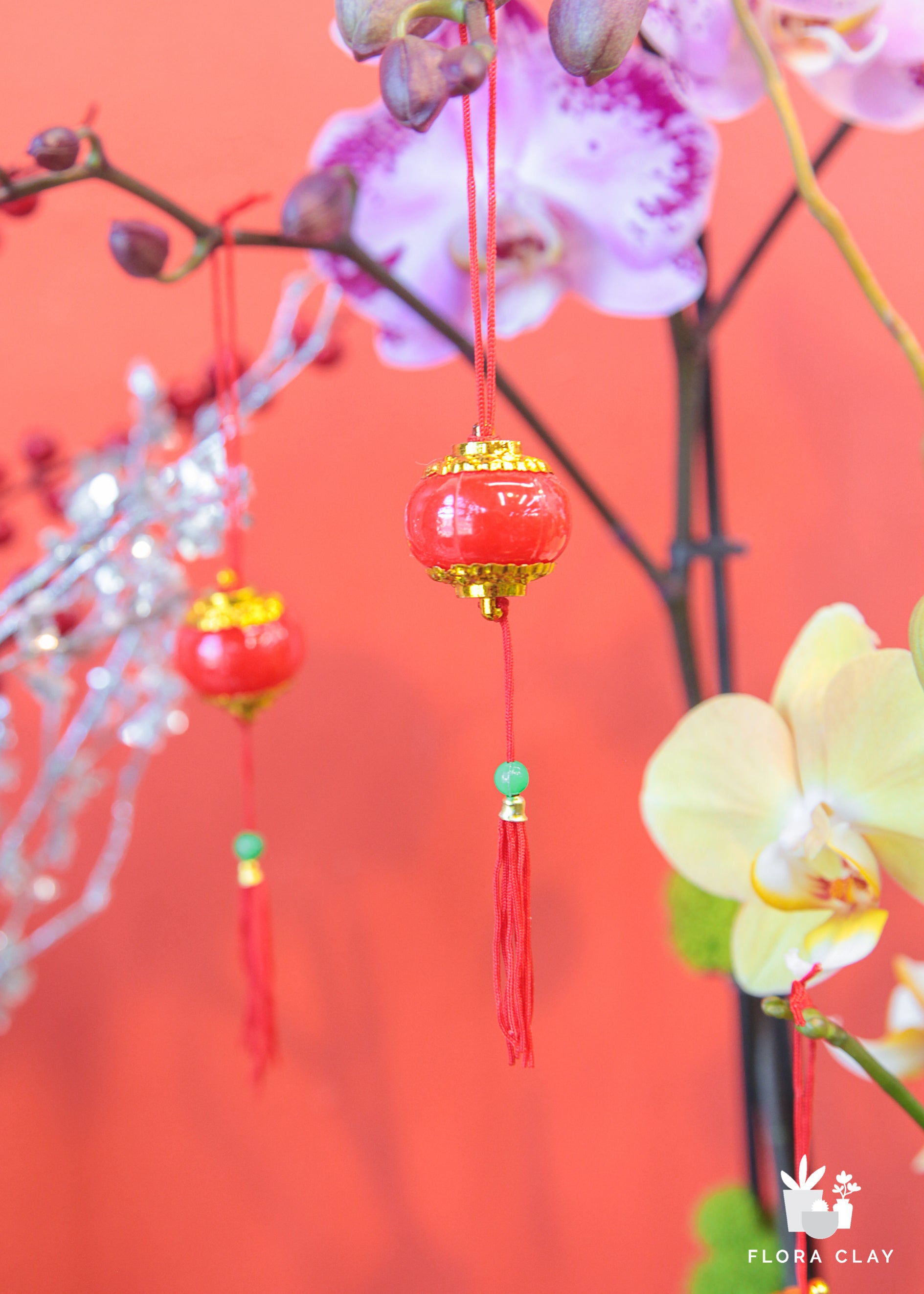 Red Lantern Orchid Arrangement in a Brown Pot