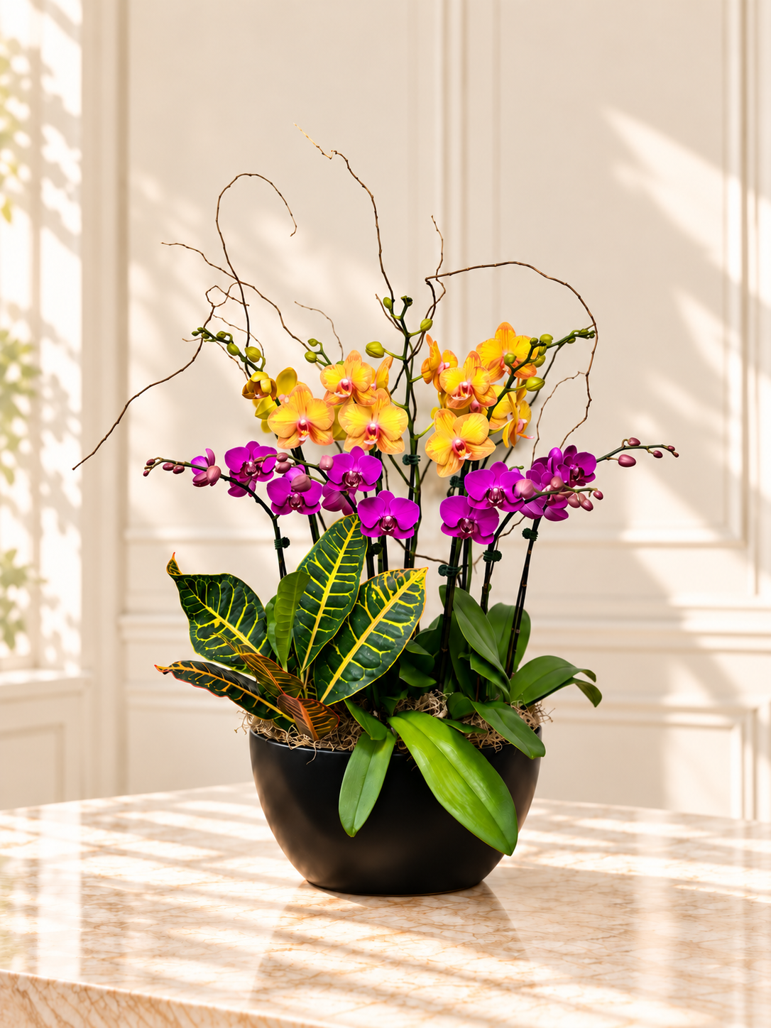 Vivid Harmony Garden