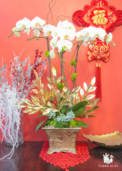 Wisdom Orchid Arrangement in a Brown Pot