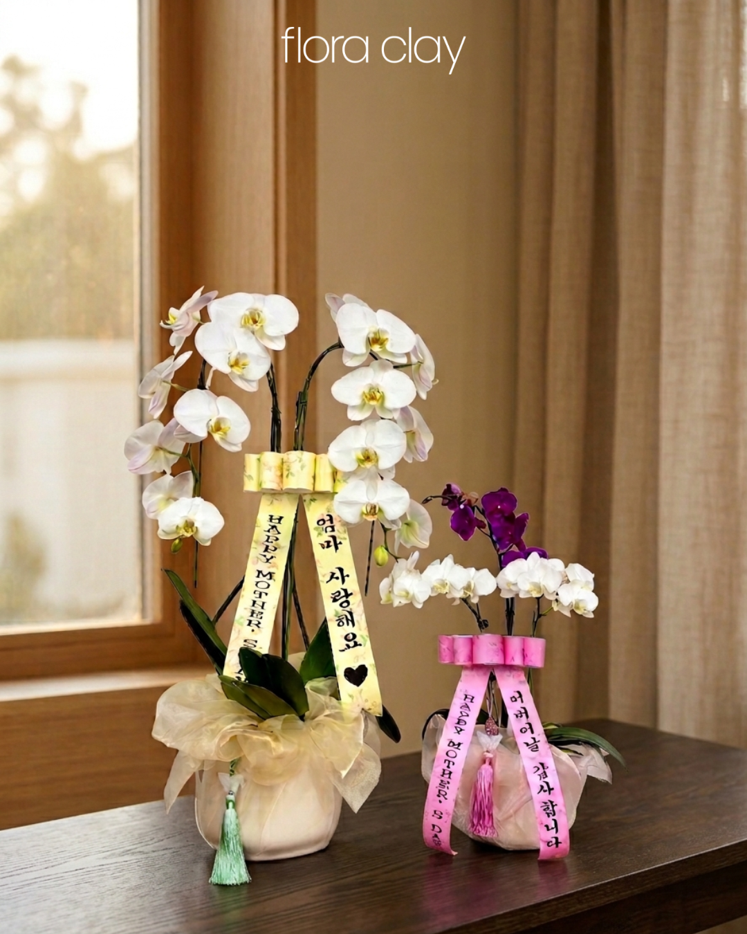 mother's day orchid arrangement 2