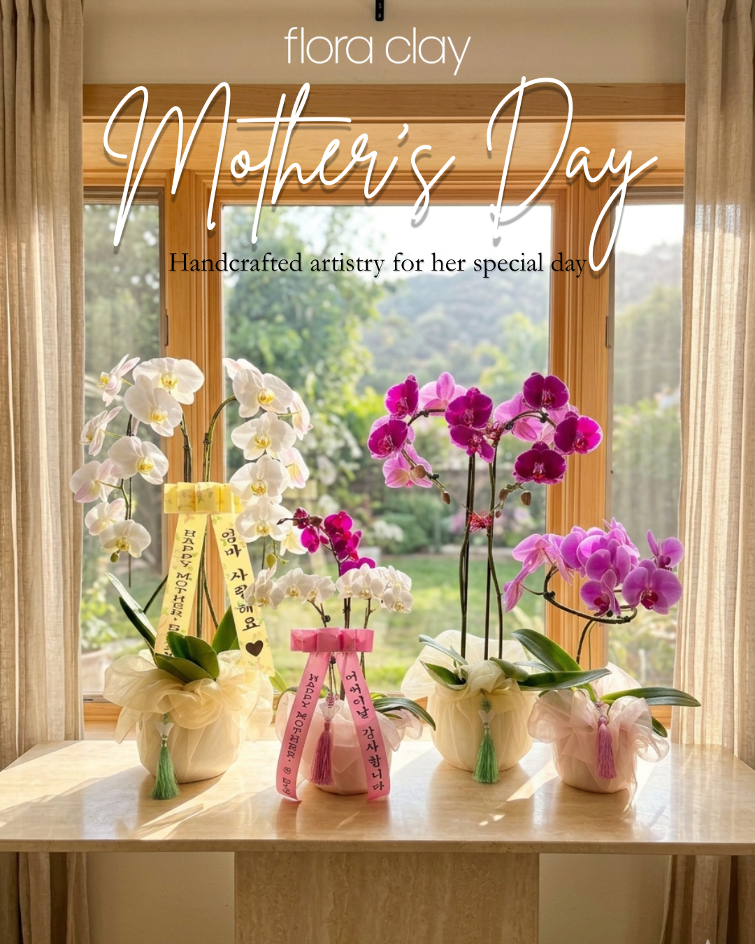 mother's day orchid collection