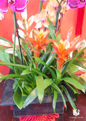 purple pink orchid arrangement in a wooden pot