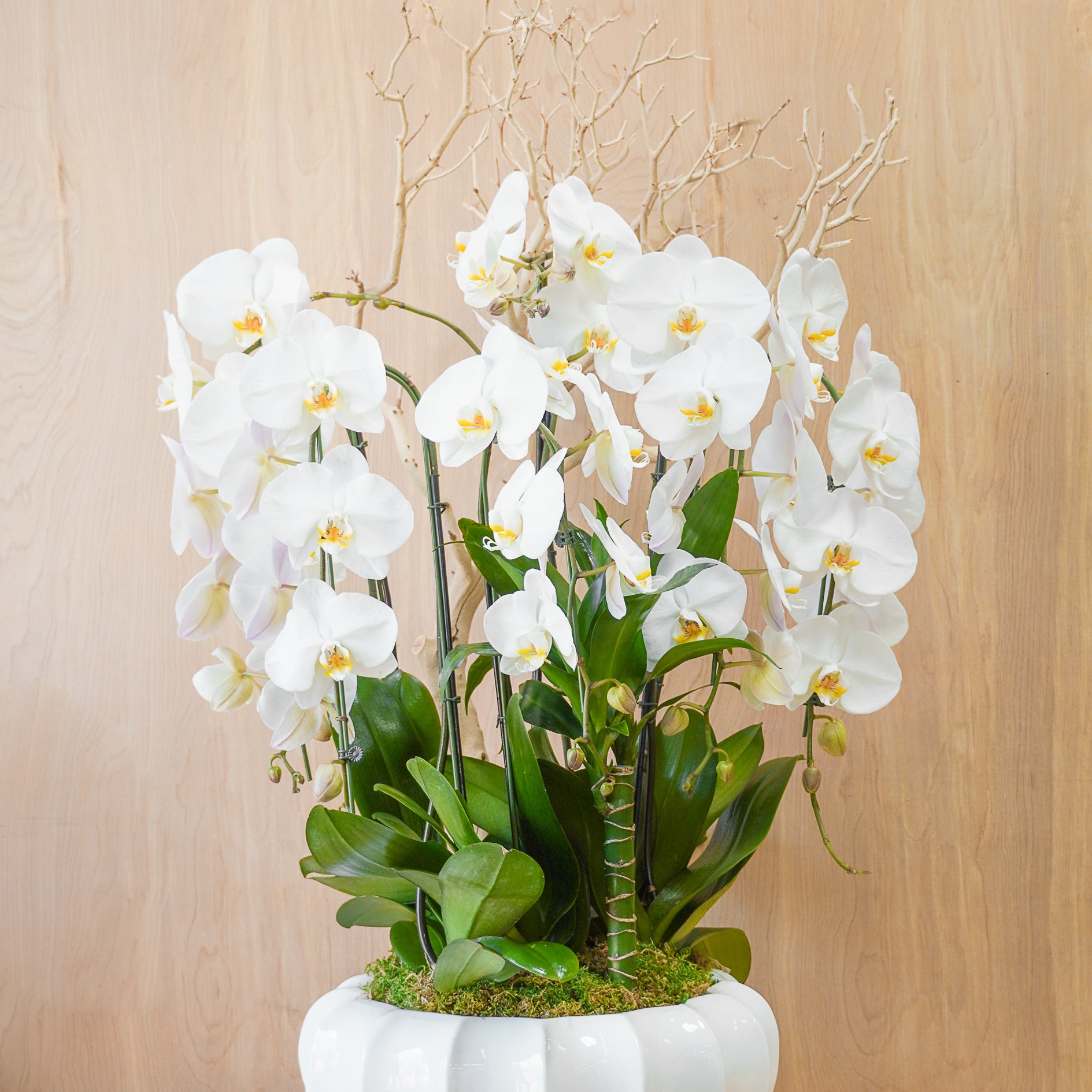 A floral arrangement featuring white orchids in a white vase, with green leaves and branches.