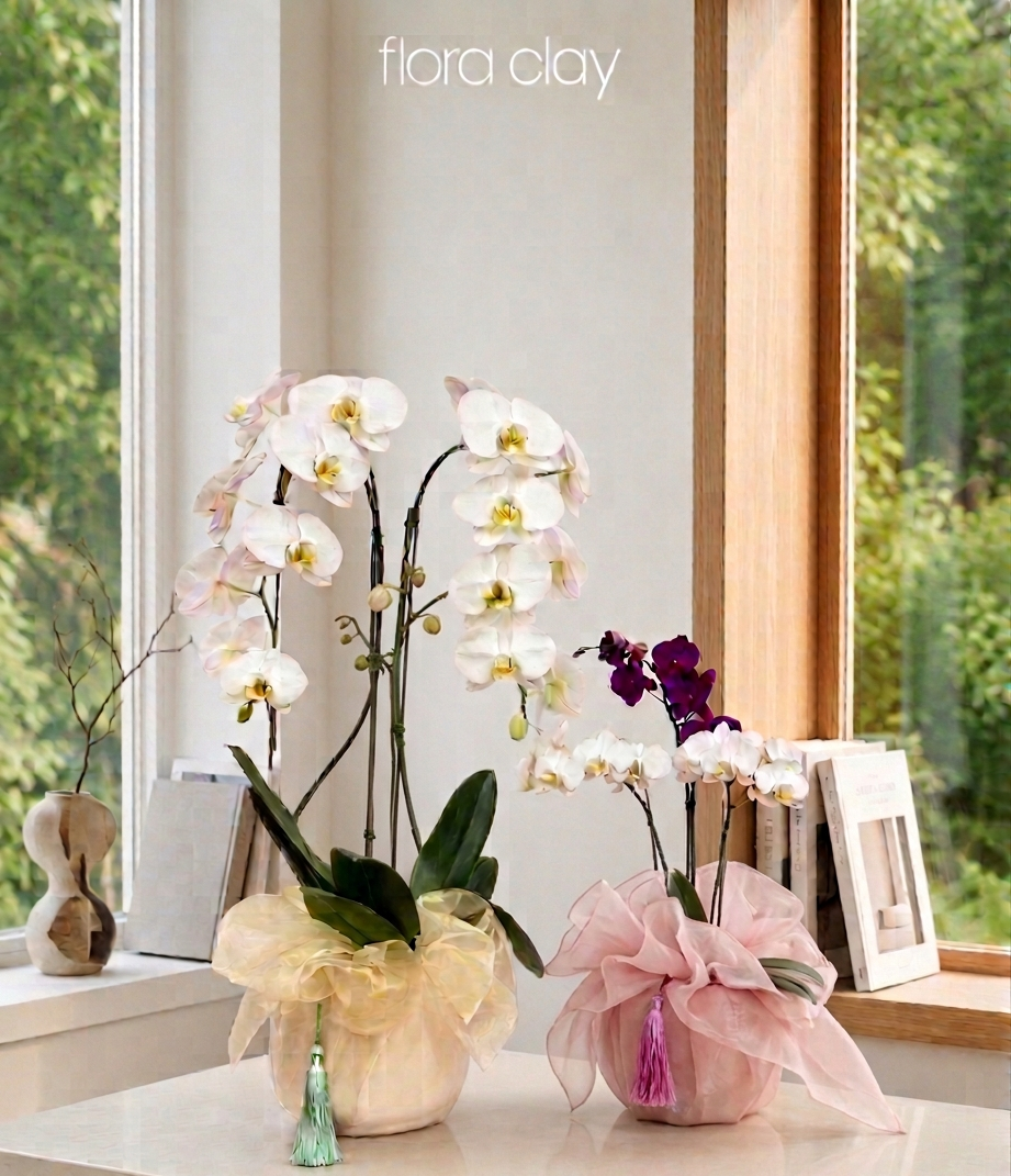 Decorative orchids in pots with ribbons on a windowsill, featuring the brand 'flora clay'.