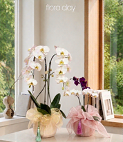 Decorative orchids in pots with ribbons on a windowsill, featuring the brand 'flora clay'.