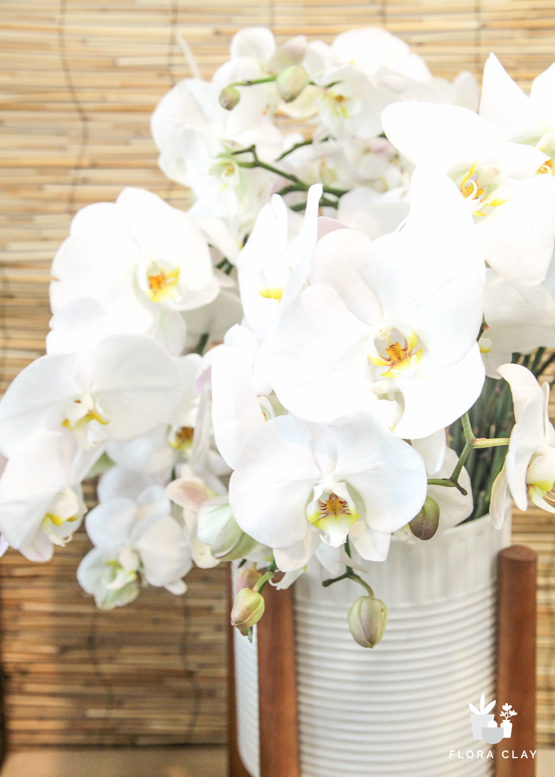 white cut orchids