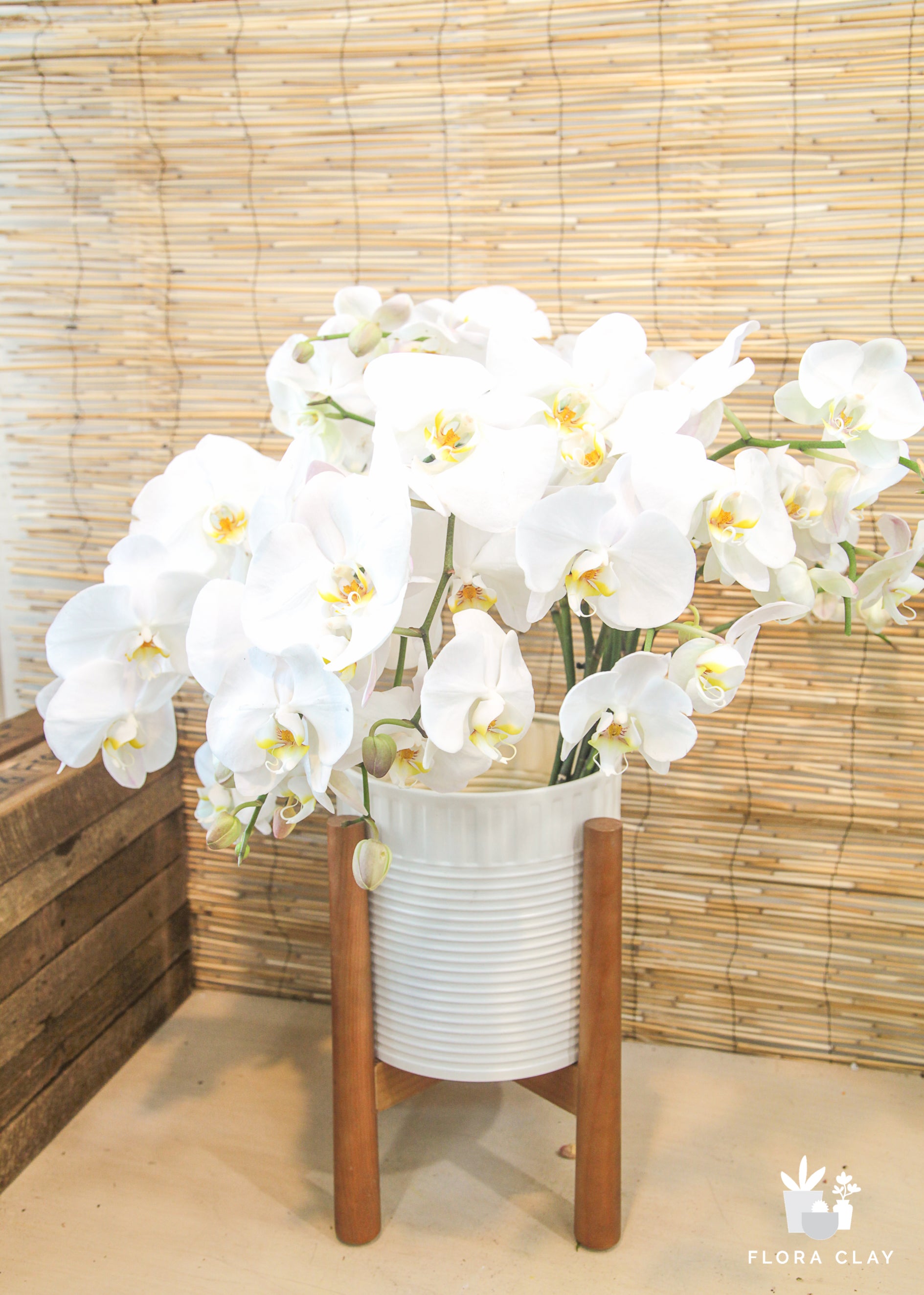A bunch of fresh cut white orchids placed in a cylindrical white pot with a brown seat, set against a woven wall.