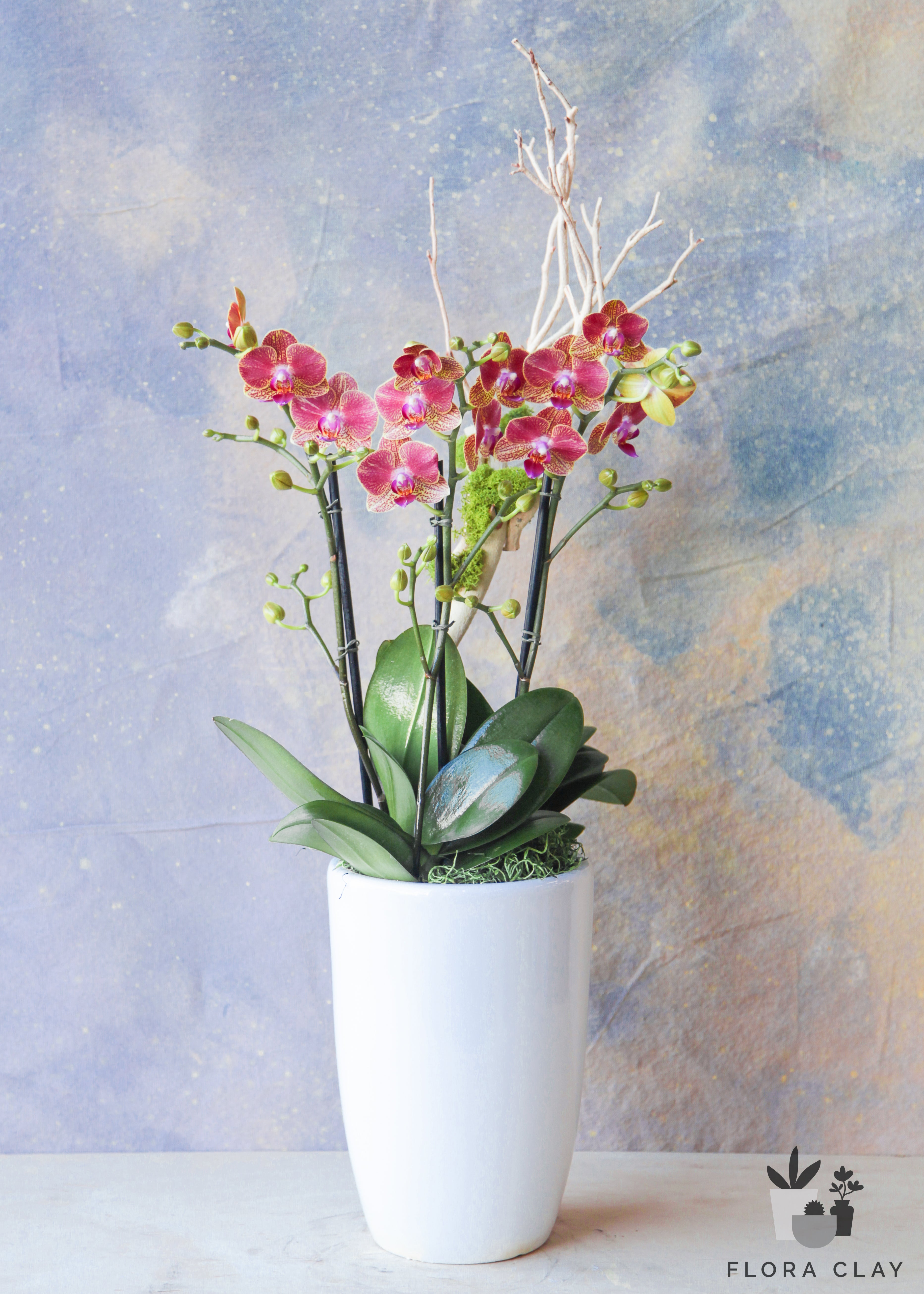 Aura-Orchid-Arrangement_Floraclay-0.jpg