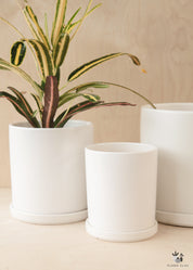 Basic White Ceramic