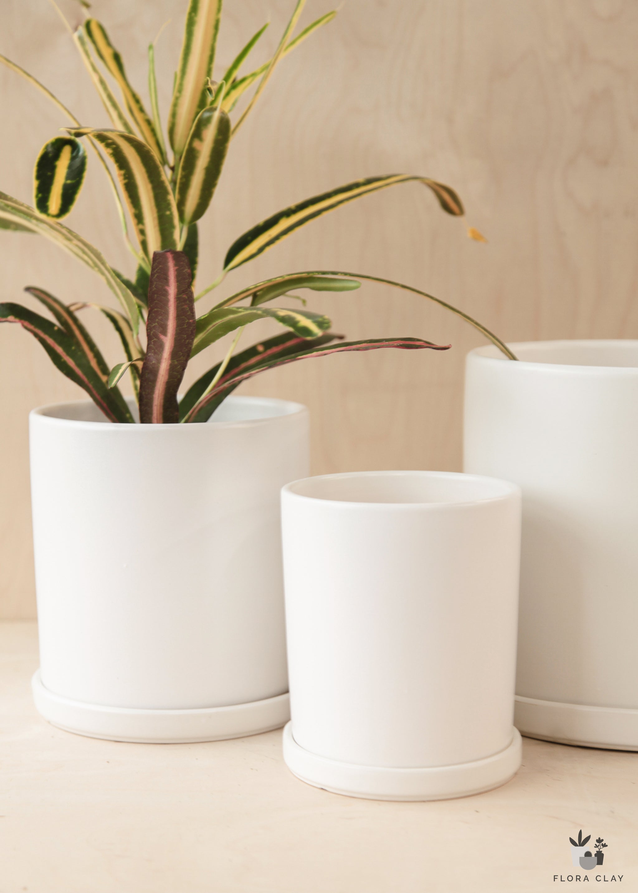 plain white ceramic plant pots Basic White Ceramic